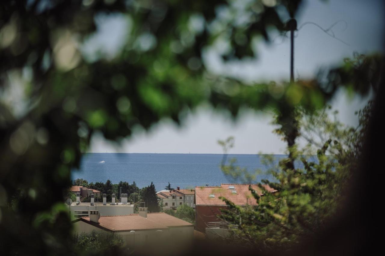 Belvedere Holidays Novigrad Istria Eksteriør billede